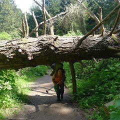 GirlsWildCat 017 : GirlsWildCat